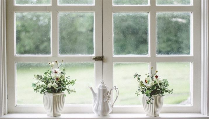 Vamoose Cleaning Tip of the Month: How to make your Windows Sparkle