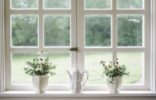 Vamoose Cleaning Tip of the Month: How to make your Windows Sparkle