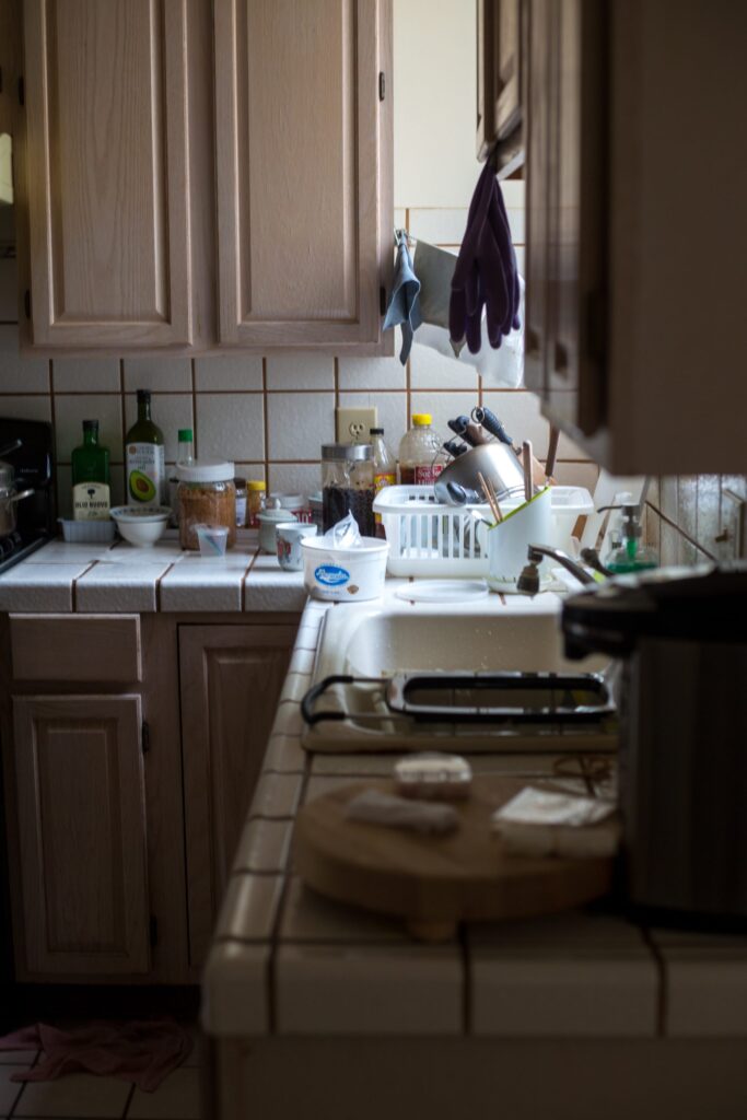 In need of Extreme Cleaning by Vamoose Cleaning Services