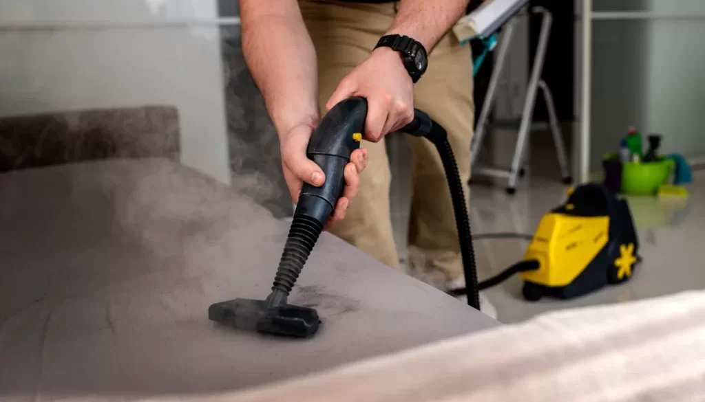 Hoarder Clearance and Deep Cleaning