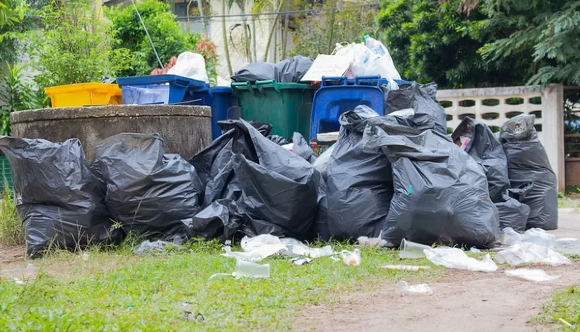 Clutter and Waste Removal