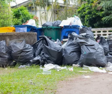 Clutter and Waste Removal