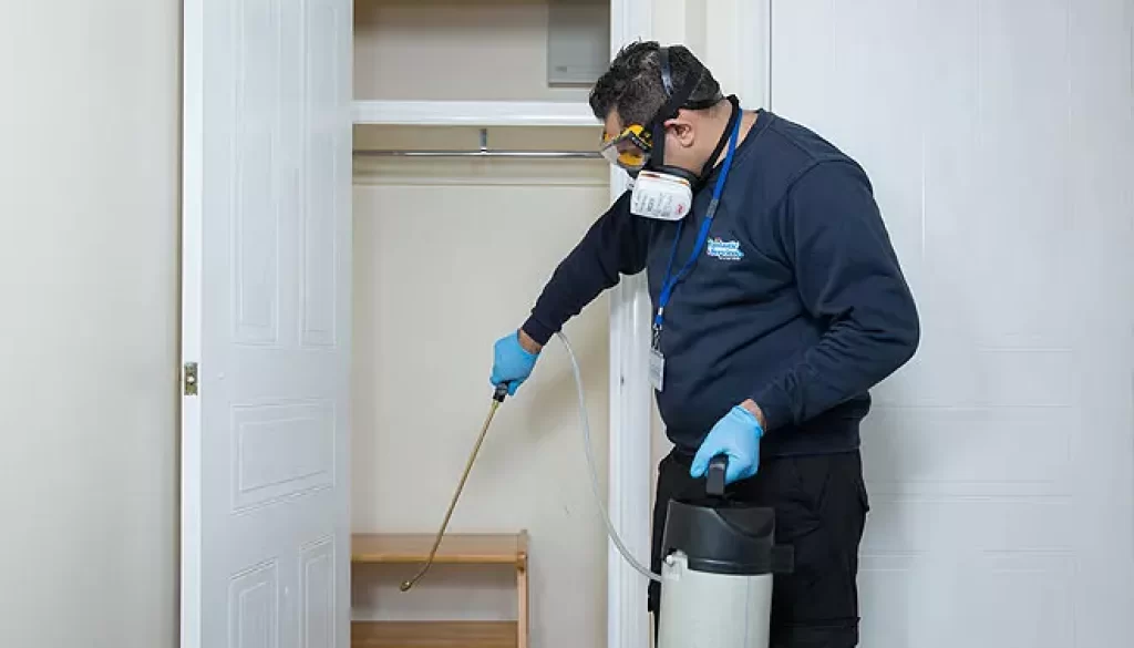 Deep Cleaning and Sanitising Services