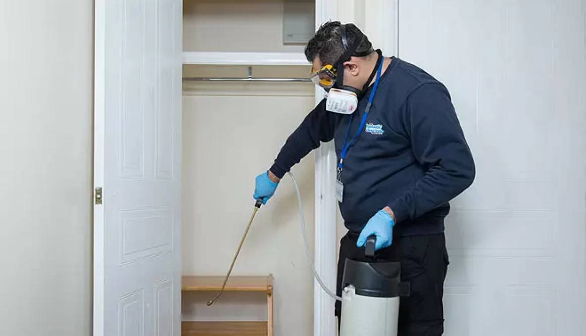 Deep Cleaning and Sanitising Services