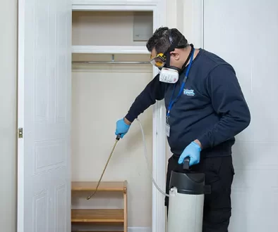 Deep Cleaning and Sanitising Services