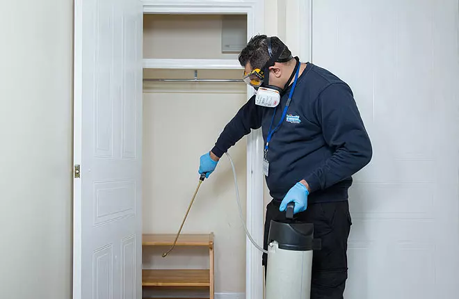 Deep Cleaning and Sanitising Services That Restore Safe Living Spaces in London