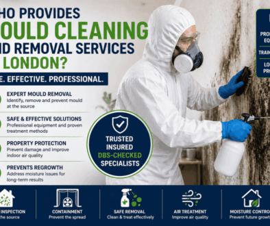 Who Provides Mould Cleaning and Removal Services in London
