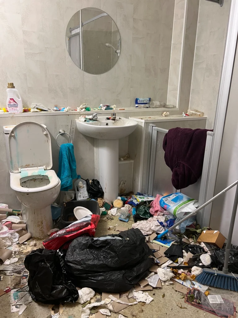 When Is Professional Property Clearance Needed Before Cleaning Can Begin?